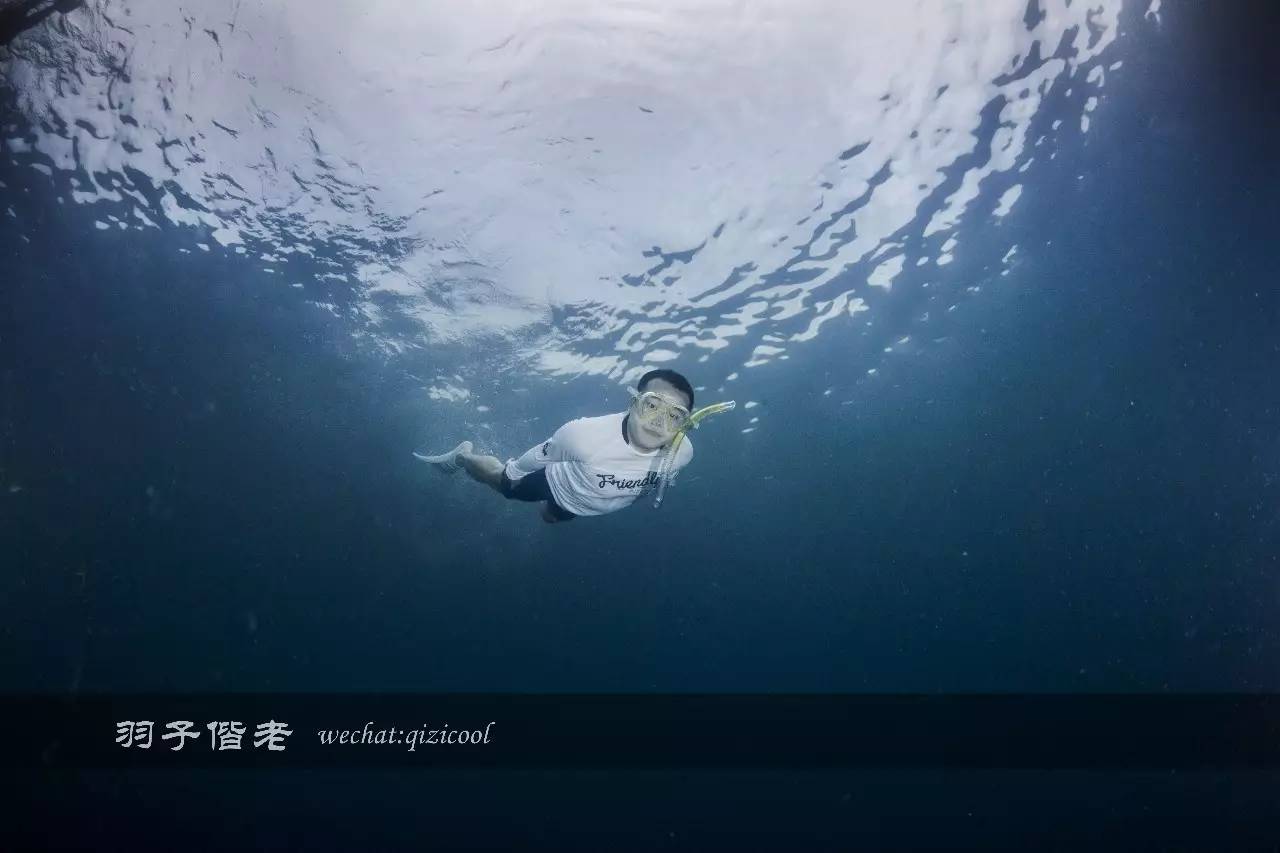 帕劳旅行真实感受,三次帕劳是一种什么体验