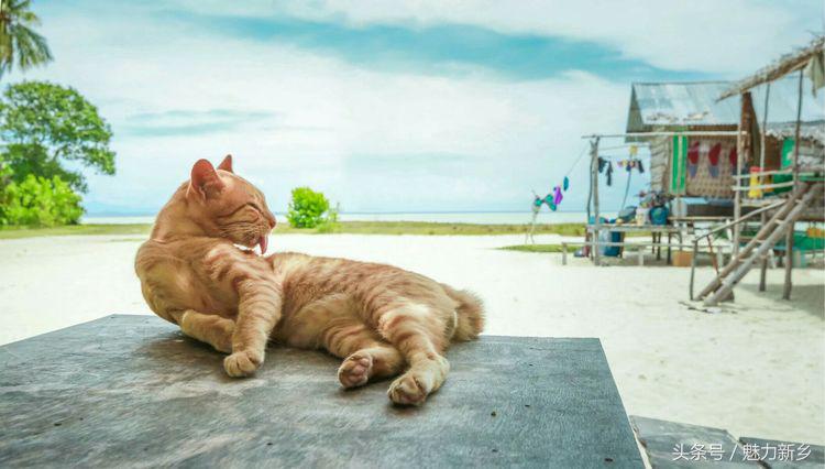仙本那跳岛简介,仙本那跳岛图