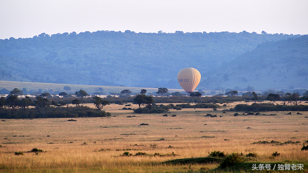 肯尼亚动物大迁徙旅游,肯尼亚迁徙之旅