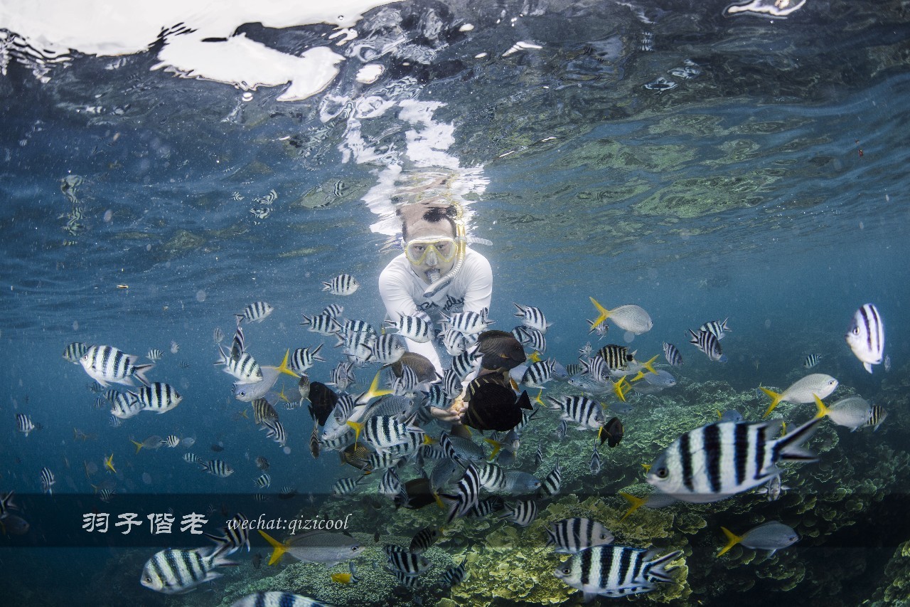 帕劳旅游发展的前景,去帕劳注意事项和必备品