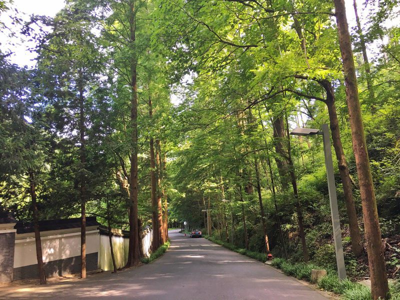 一场说走就走暑假旅行,一场说走就走的旅行来了