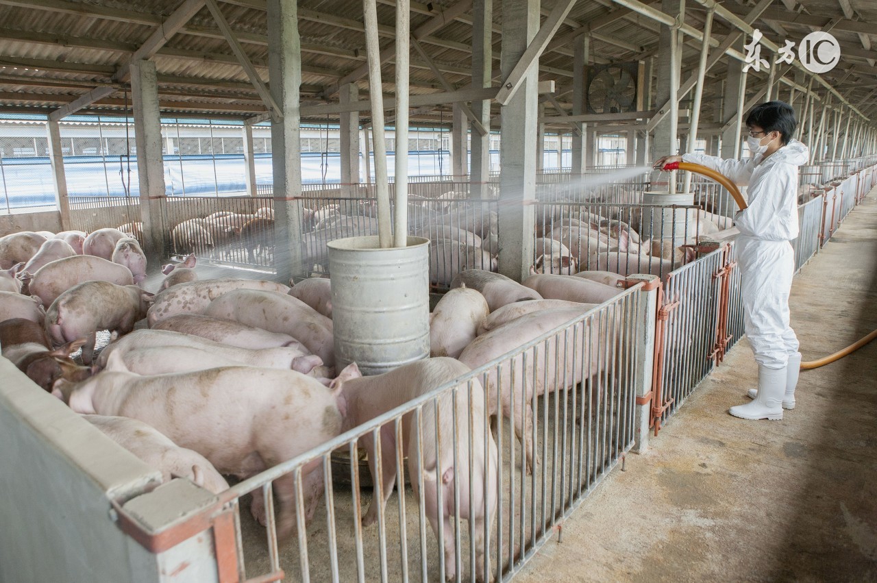 农村农民土地一年有哪些补贴,农民有福了农村这3笔补贴到账
