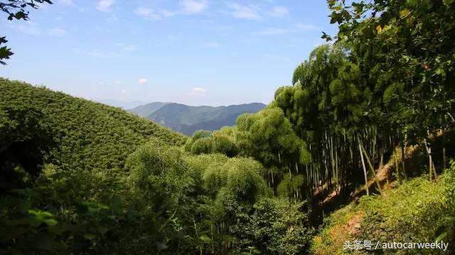 去40度的杭州消暑，我开着科雷傲做到了