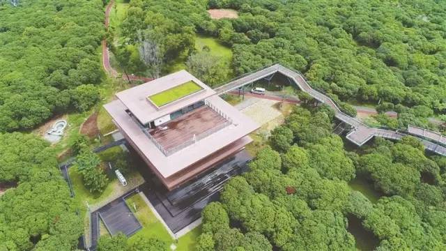 又多了一个免费约会公园！空中栈道、荔枝林、*瑰园玫**，环境超棒的！