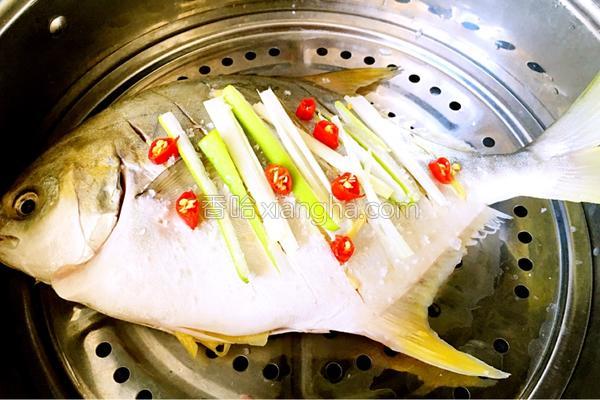 蒸白鲳鱼的家常做法视频,鲳鱼怎么清蒸用电磁炉蒸多久