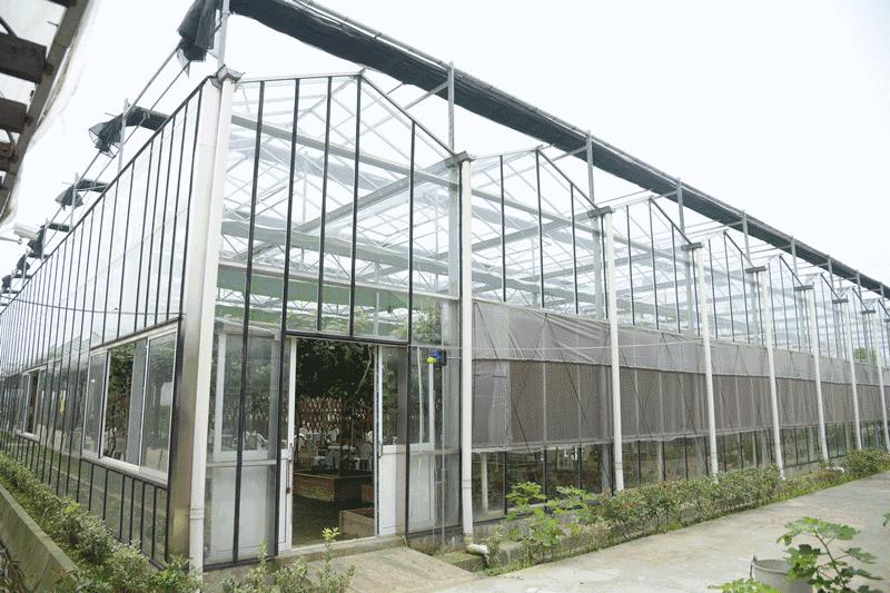 不是天生黑的被晒黑的怎么变白,如果不是天生黑是晒黑的该怎么办