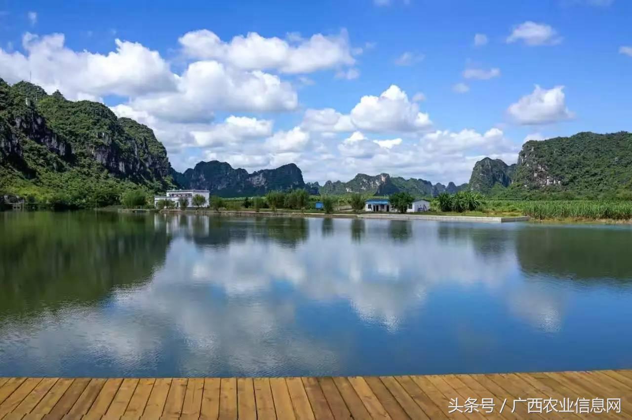 暑假去哪里旅游好进广西,暑假去哪里玩好玩又便宜广西