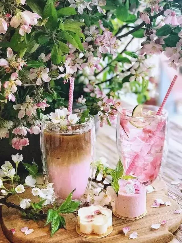 帝都的网红蛋糕,我都替你们吃了|超全订蛋糕指南