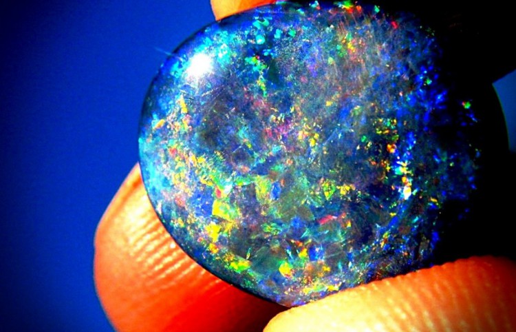 欧泊变色龙,变色龙欧泊