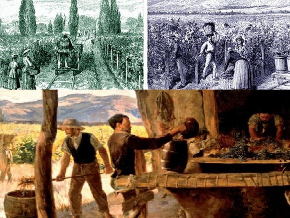 还以为智利只有低端酒？它是这样逆袭的！