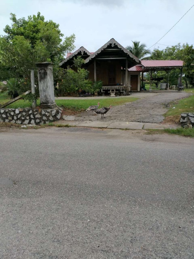 兰卡威一日游详细攻略,兰卡威3天2晚的自由行攻略