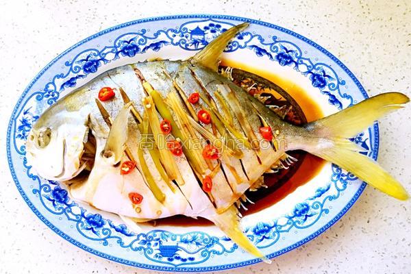 蒸白鲳鱼的家常做法视频,鲳鱼怎么清蒸用电磁炉蒸多久