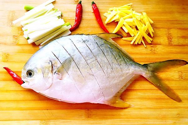 蒸白鲳鱼的家常做法视频,鲳鱼怎么清蒸用电磁炉蒸多久