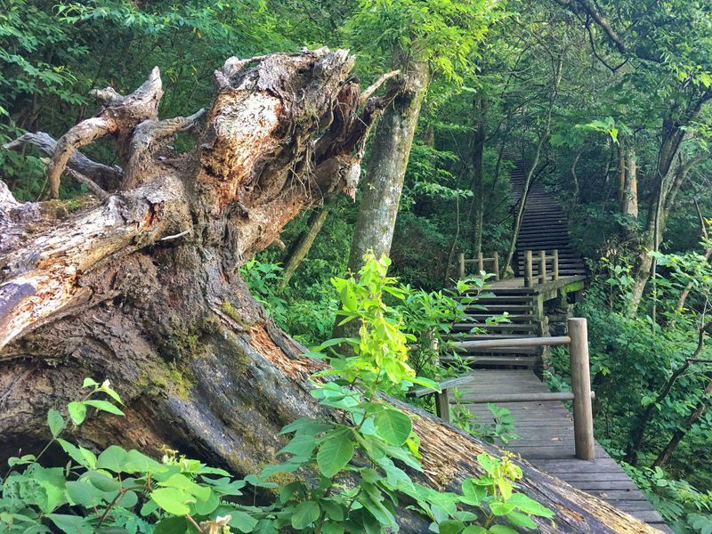 一场说走就走的夏日旅游,一场说走就走的山水旅游