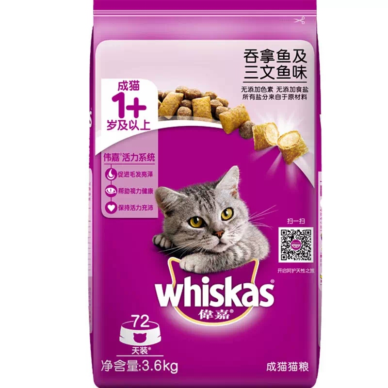 来点福利,新手养2个月小奶猫注意事项