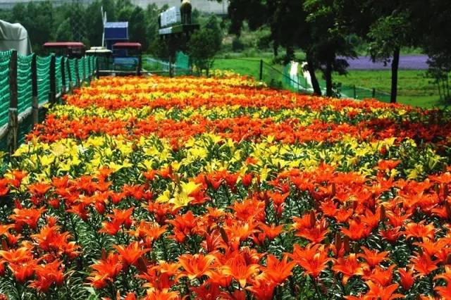 大连铭湖牧场度假区,大连铭湖牧场和三寰牧场哪个好