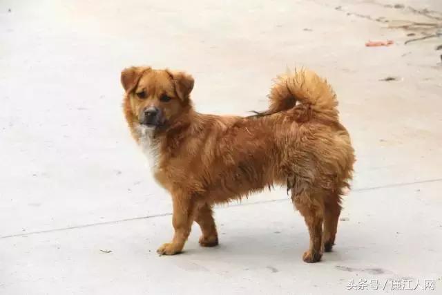 我来自廉江农村，你愿意跟我结婚吗？