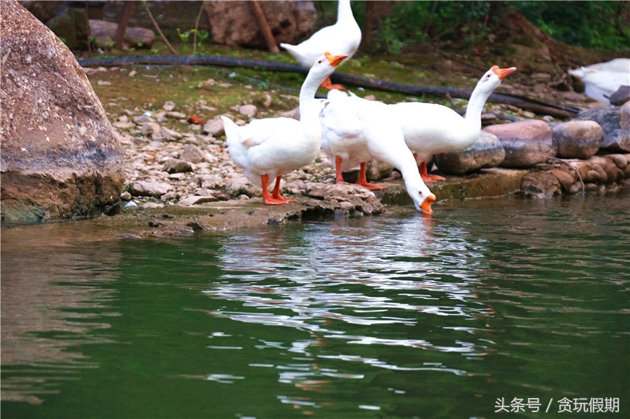 古北水镇去哪吃,古北水镇有什么吃的推荐