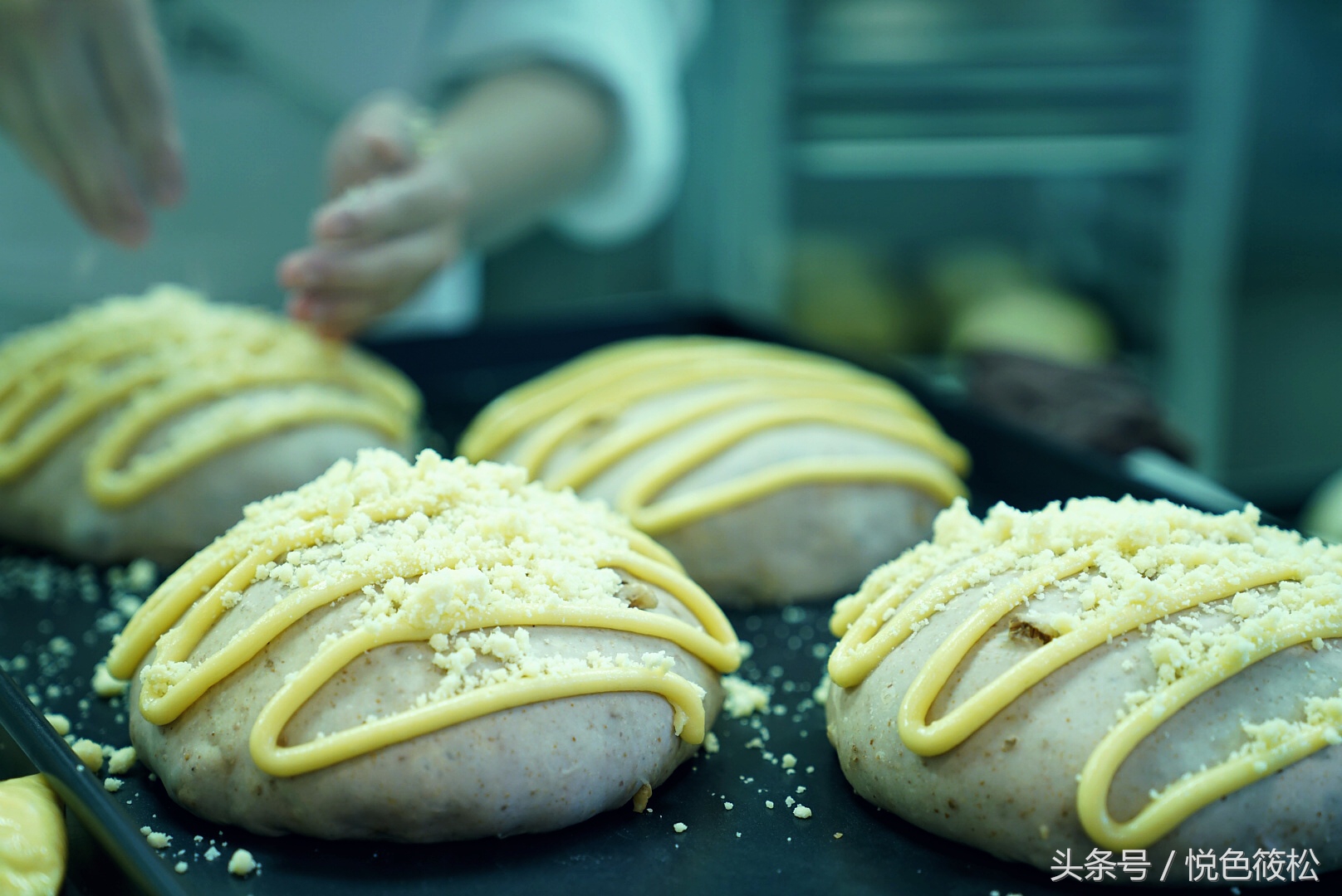 面包迷心中的圣地,“原麦山丘”终于在大连开店了,真有那么好吃吗