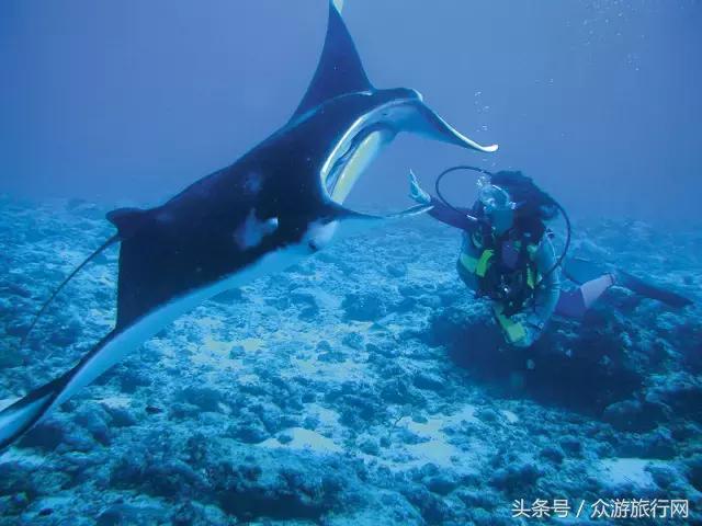 马尔代夫grandpark沙屋水屋,马尔代夫constance酒店