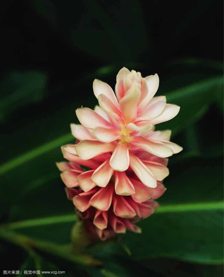 孕妇感冒一个妙方就解决不伤胎儿,孕产妇感冒了怎么办