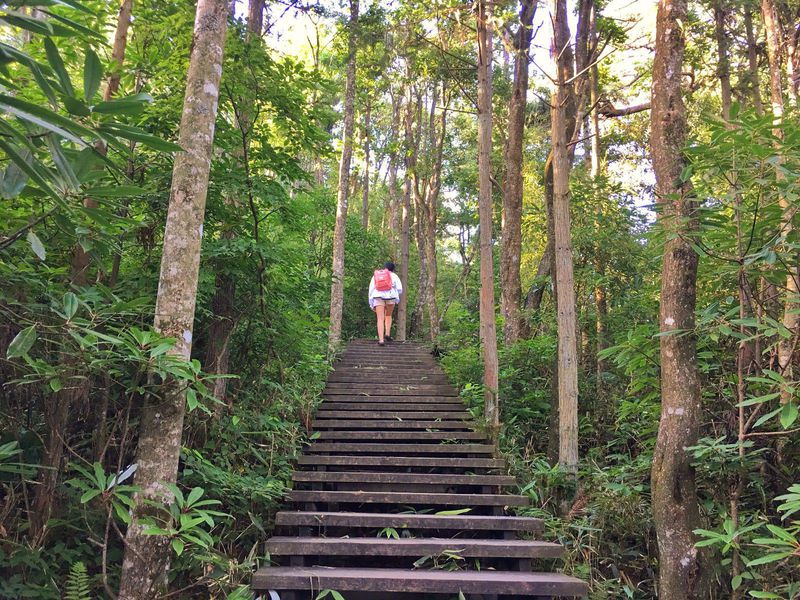 一场说走就走的夏日旅游,一场说走就走的山水旅游