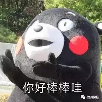 澳洲开车忘记驾照怎么办,澳洲驾照回国怎么使用