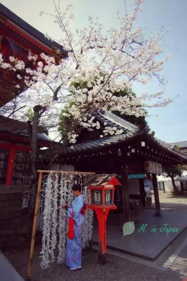 京都自由行景点大全,京都北野天满宫攻略