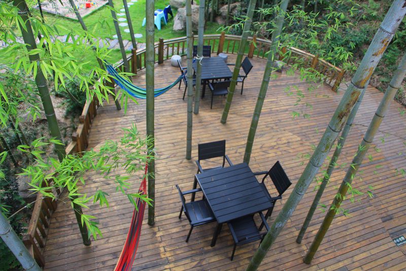 一场说走就走暑假旅行,一场说走就走的旅行来了