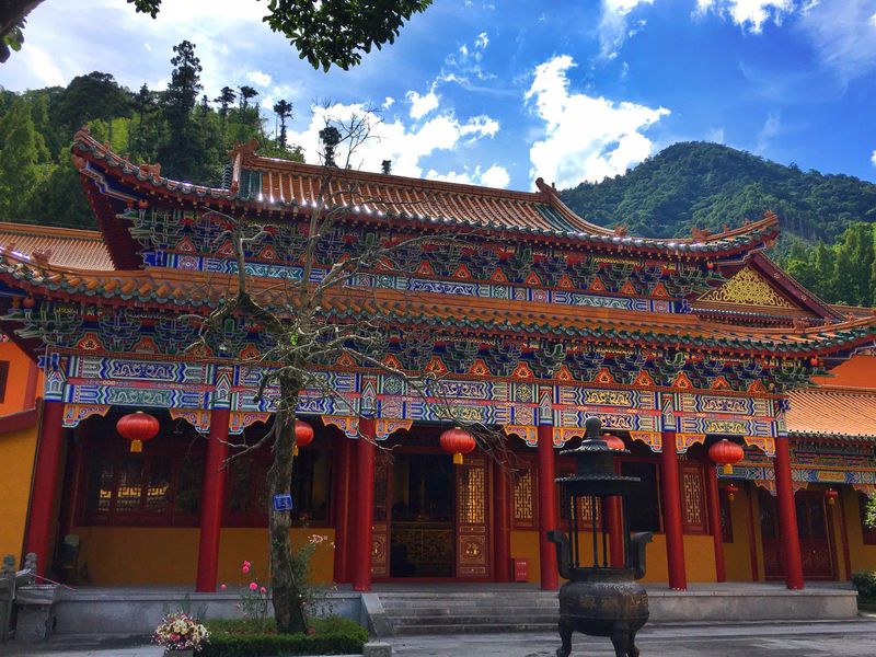 一场说走就走暑假旅行,一场说走就走的旅行来了