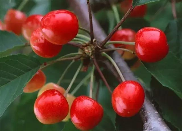 八月长春去哪的机票最便宜,2月长春出发机票价格