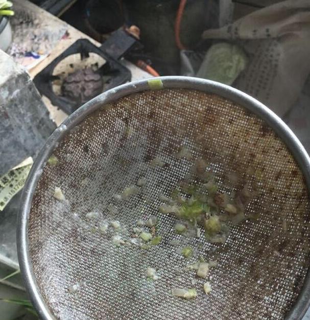 说婆婆特别邋遢家里特别脏乱,婆婆一家太邋遢怎么办