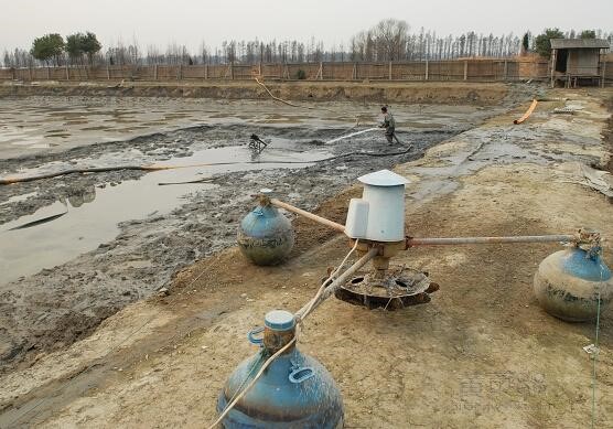 鲫鱼鳃出血症状,鲫鱼鳃出血会全部死亡吗