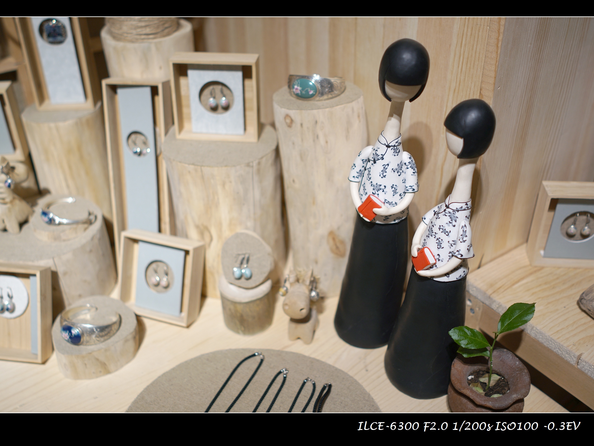 索尼微单a6000和a6300,索尼a6300微单摄影入门教程