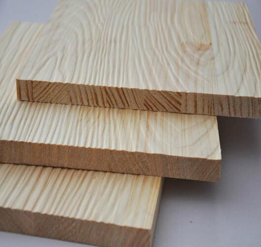 辐射松哪里来,辐射松生长特点是什么