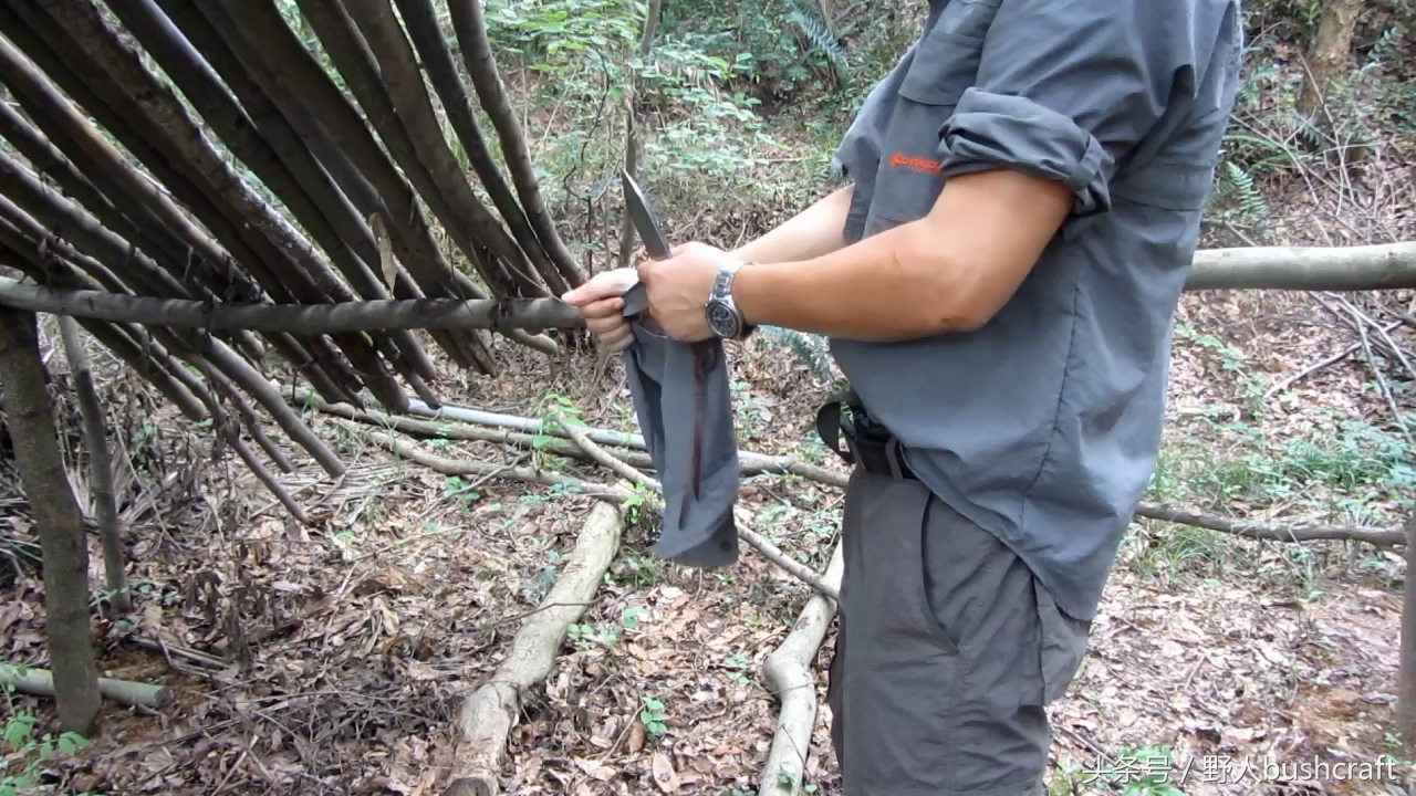 荒野求生徒手杀牛,荒野求生割生肉