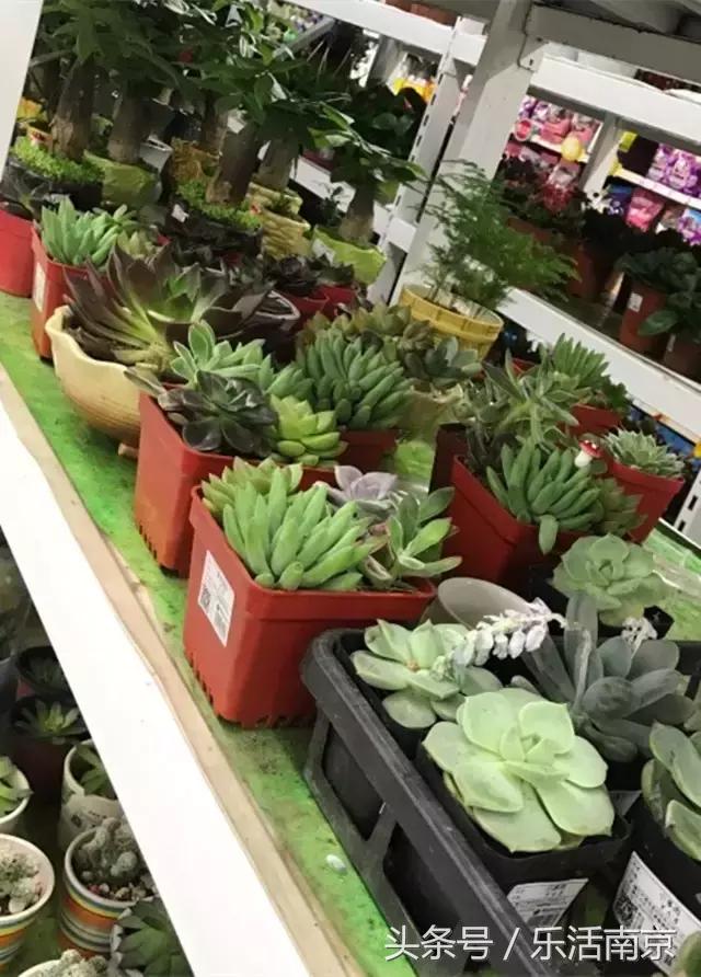 南京物美价廉的大超市推荐,南京值得逛的大超市