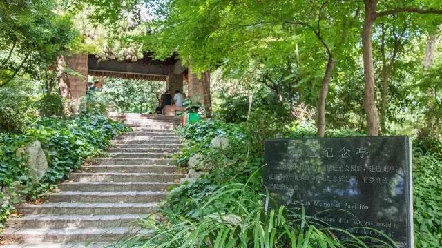 高温下的上海城市,上海40度以上高温