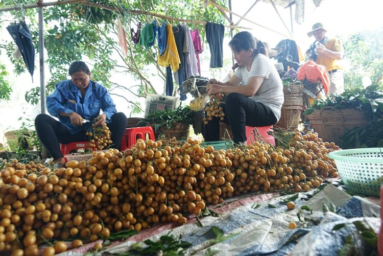 瀵诲懗閮佸崡鍘垮煄,瀵诲懗椤哄痉榛勭毊