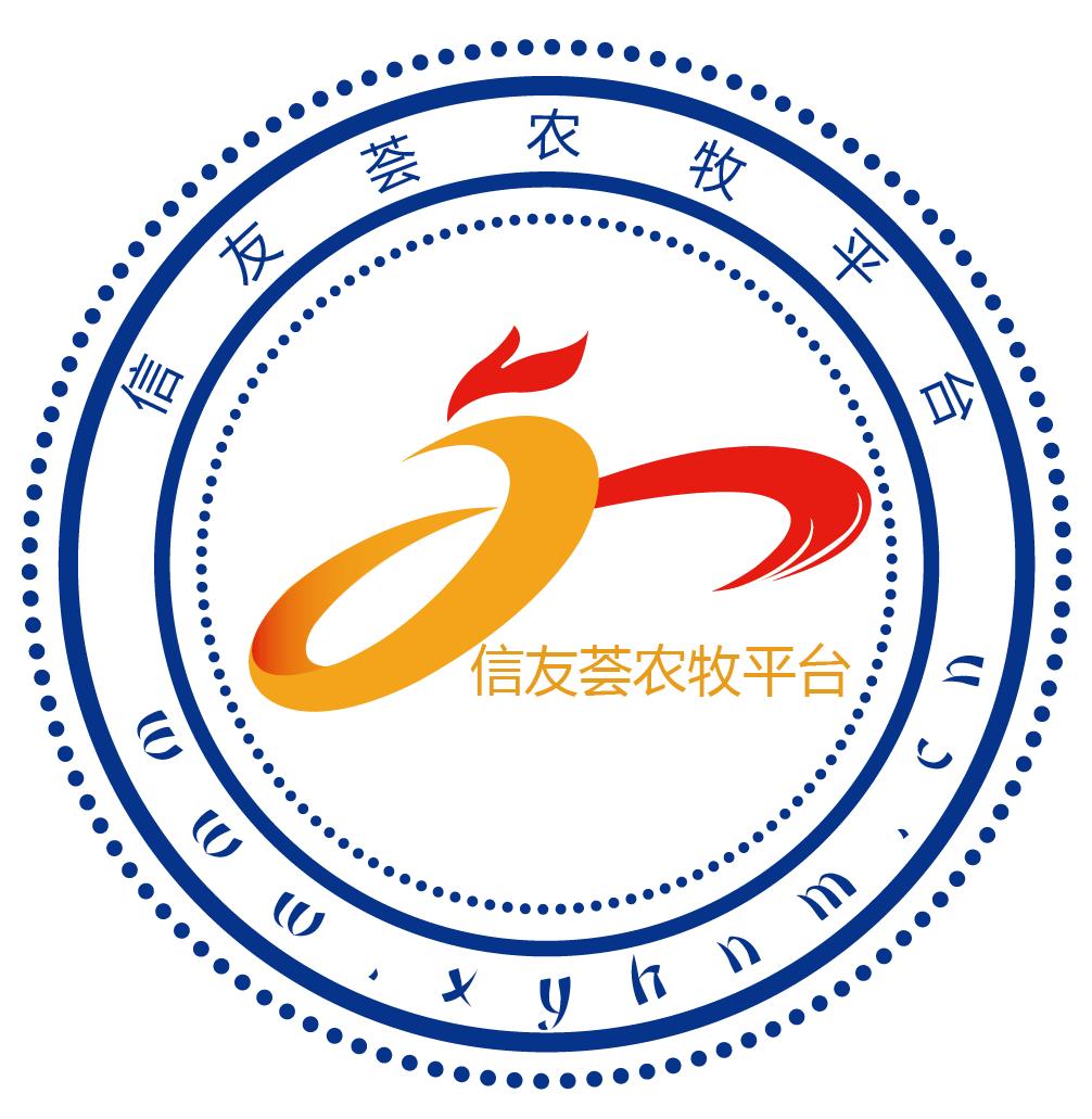 排排坐公开课完整版,排排坐公开课