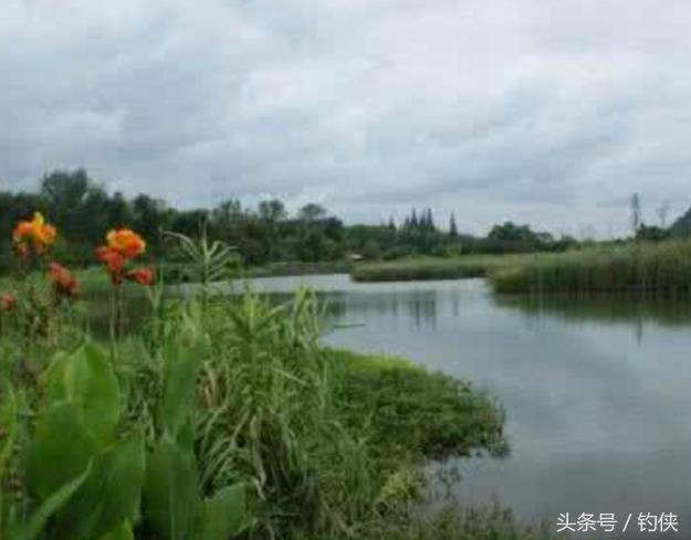 钓鱼知识解读图,钓鱼口诀大全要牢记