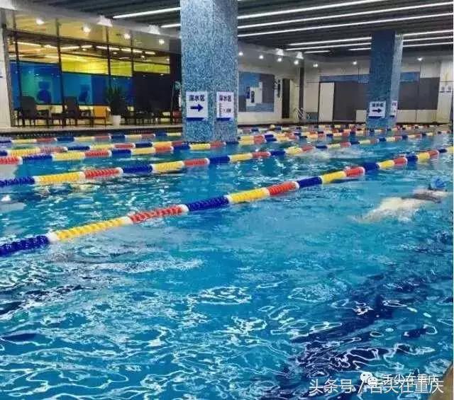 快来收藏这9个秘籍,重庆游泳地方推荐野泳