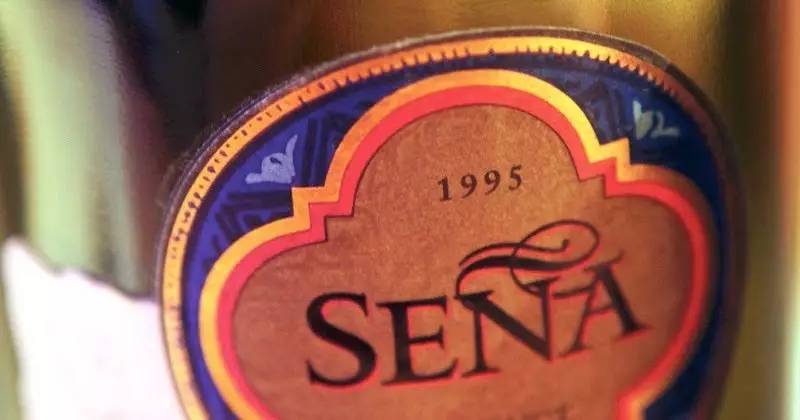 智利十大最贵葡萄酒,智利最有名的葡萄酒是什么