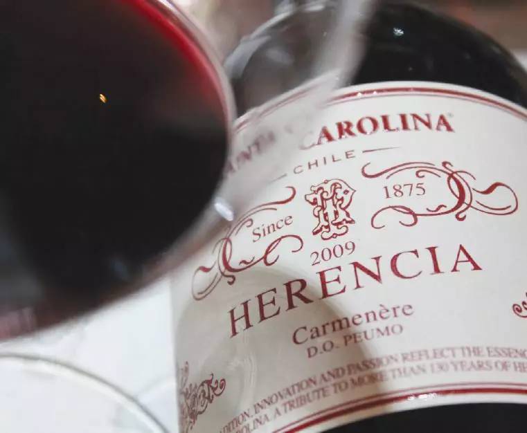 智利十大最贵葡萄酒,智利最有名的葡萄酒是什么