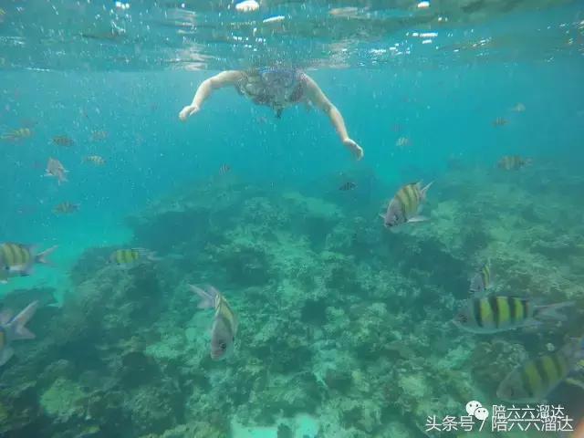 普吉暑假亲子游,这个暑假去旅游怎么样