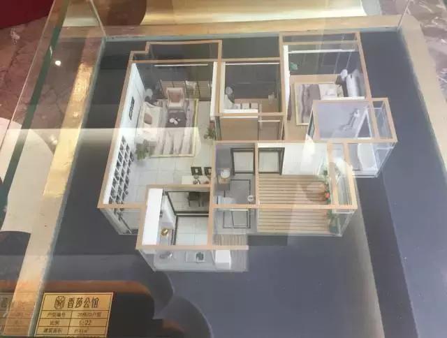 深圳看房龙岗,深圳看房记