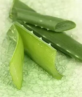 如何在家自制芦荟面膜,生活小妙招用芦荟胶做面膜