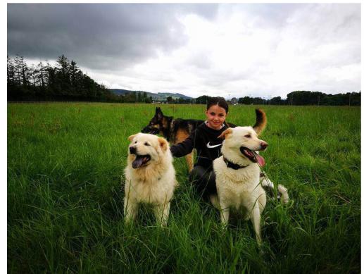 流浪猫志愿者实践活动,做志愿者的活动纪实