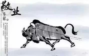 卖橱柜一般多少钱一个月,卖橱柜能卖什么