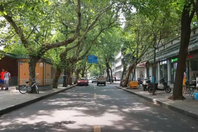 成都四中美食,成都四中视频